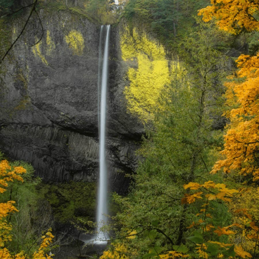 A cascading waterfall surrounded by vibrant autumn foliage.