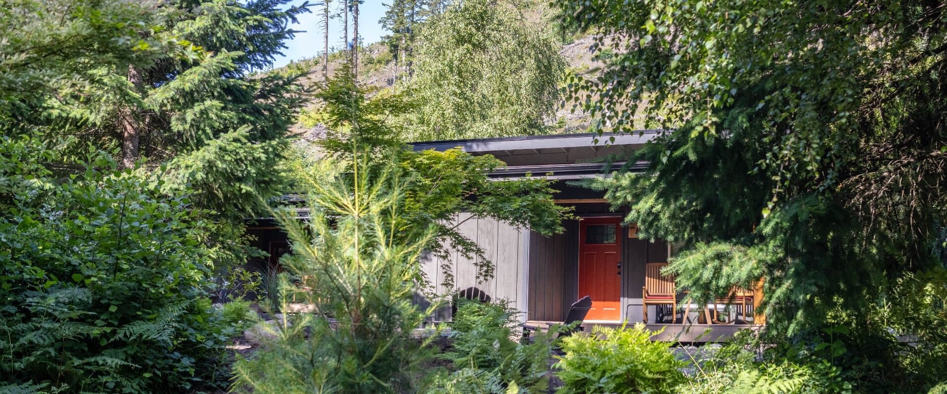 A secluded modern cabin surrounded by lush greenery and trees.