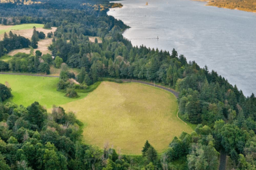 Aerial view of green fields and dense trees along a river.