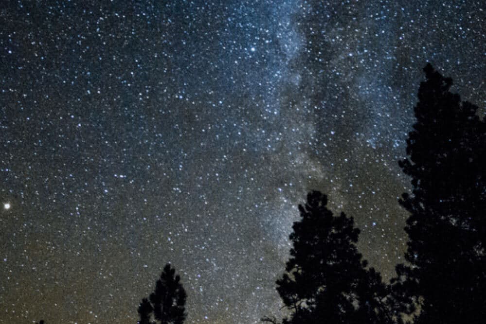 A starry night sky filled with twinkling stars and the Milky Way above silhouette trees.